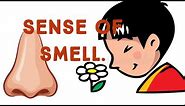 Learn about my five senses (Sense of Smell)