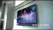 BRAVIA W950C Android TV: Unmatched Experience with Sony