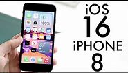 iOS 16 OFFICIAL On iPhone 8! (Review)