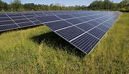 Solar Basics: What are tier 1 solar panels?