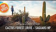 226: Cactus Forest Drive TOP SPOTS (Saguaro National Park East) - Tucson, Arizona