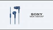 Sony MDR XB55AP Review | In-Ear Earphones | Extra Bass Sound | Best Sony Earphones