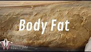 All About Fat - Why You're so Good at Gaining Weight