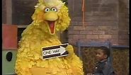 Classic Sesame Street - Big Bird and Scottie: ONE WAY