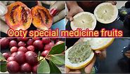 Ooty special fruits