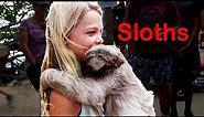 Girl Holds Sloth: Sloth and Monkey Encounter at Roatan Honduras