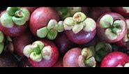 How to eat and open Mangosteen