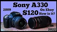 Sony A330 $120 Photo and Thoughts