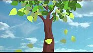 Falling Leaf Animation