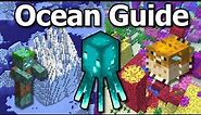 The Ultimate Minecraft 1.20 Ocean Guide | Coral, Icebergs, Water Caves