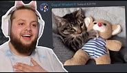 Wholesome Memes but It’s Actually Just Cat Videos for 20 Minutes Straight