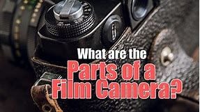 What are the Parts of a Film Camera? (  Their Functions)