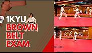 KARATE Grading for Brown Belt 1KYU *What you need to know