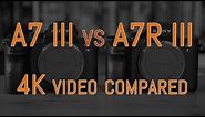 Sony A7 III vs A7R III - 4K Video Comparison