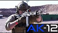 AK-12, Russia's new Service Rifle