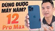 iPhone 12 Pro Max còn dùng được mấy năm nữa ???