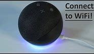 How to Connect Alexa to WiFi - 4th generation