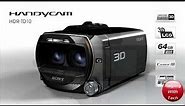 Sony 3D HDR-TD10 Camcorder & 3D Bloggie Overview HD