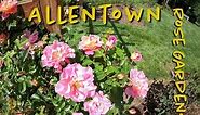 Allentown Rose Garden Video Tour May 2020