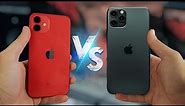 iPhone 11 Pro Max vs iPhone 12 en 2024 ¿Cuál Comprar?