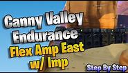 Flex Amplifier East (w/ Imp Amp) Build for Canny Valley Endurance AFK - Step By Step