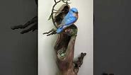 Bluebird With Nest Wall Sculpture