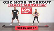 1 HOUR TOTAL body resistance and cardio workout/Low Impact//standing & no equipment options