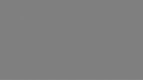 Grey Screen | A Screen Of Pure Grey For 10 Hours | Background | Backdrop | Screensaver | Full HD |