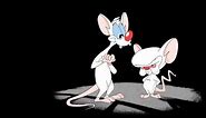 Pinky and the Brain Theme Song Intro HQ with Lyrics