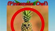 Making Roblox Pineapple Owl Meme Outfit Idea 🍍🦉