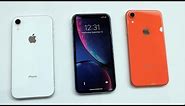 iPhone Xr: Price, specifications and launch date | Apple Launch Event
