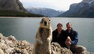 The 15 Greatest Animal Photobombs of All Time