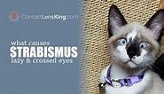 What Causes Crossed Eyes or Strabismus?