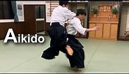 Aikido ‐ High speed throw with relax