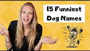 15 Funniest Dog Names - I love #1 🐶❤️