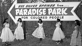 Paradise Park in Silver Springs, Florida. Photographs by Bruce Mozert (circa 1950s) via Florida Memory [Black Archives] #lovemesomeus #blackhistory365 #APeoplesJourney #weoutchea #thevillage #webeenoutside | Black Table Talk