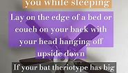 Tips for Bat Therians #therian #bat #battherian #therianthropy #theriantips #quadrobics