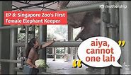 Singapore Zoo's first and only female elephant keeper