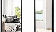 NeuType Over The Door Mirror Full Length Mirror Hanging Over Door or Leaning Against Wall or Mounted On Wall, Door Mirror Full Length Mirror Over The Door, 47"x16", Black, No Stand