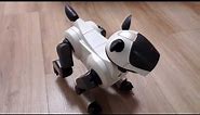 SONY AIBO | ERS-210 CAPPUCCINO/ GOLD EDT
