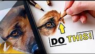 Draw Epic Realistic Fur | Colored Pencil Tips And Techniques Dog Eye Tutorial