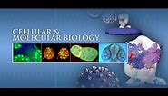 Molecular and Cellular Biology Lecture: #1