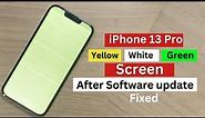 iPhone 13 Pro Yellow/White/Green screen of death after IOS update fixed.