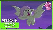 Flutterbat (Bats!) | MLP: FiM [HD]