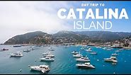 Catalina Island Day Trip: What to do in Avalon in One Day