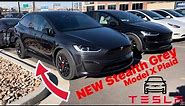 NEW Stealth Grey Color Comparison - Model X