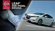 2019 Nissan LEAF E-Pedal Explained