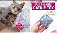 5 Minute Crafts - Easy Catnip Toy
