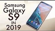 Samsung Galaxy S9 In 2019! (Still Worth It?) (Review)