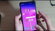 Galaxy S10 / S10+: How to Move / Re-arrange App's Icon on Home Screen